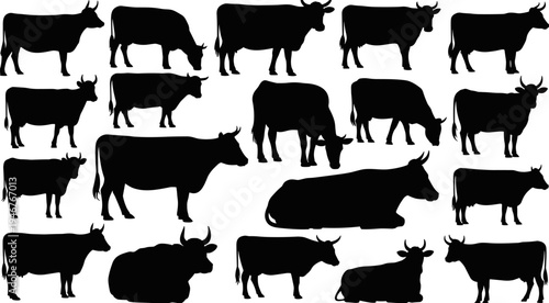 Cow silhouette collection, farm cattle set, grazing and standing cow shapes, livestock farming animals, rural agriculture design elements, flat vector illustration