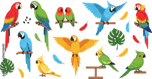 Colorful Parrot and Tropical Bird Illustration Set Featuring Macaw, Cockatiel, Lovebird, and Exotic Parrots Perching and Flying with Feathers and Leaves.