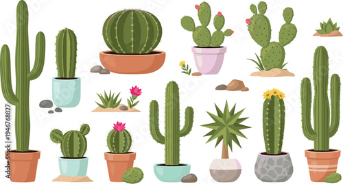Cactus and Desert Plant Illustration Set Featuring Barrel Cactus, Prickly Pear, Aloe, and Potted Succulent Plants for Botanical and Nature Design.