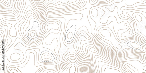 The stylized height of the topographic contour in lines and contours. Abstract geometric space. Topo line technology. Landscape, mesh map texture.
