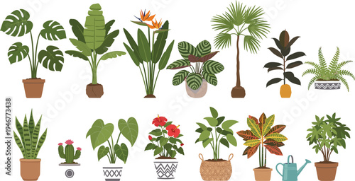 Tropical Indoor Houseplants Illustration Set Featuring Monstera, Palm, Banana Plant, Cactus, Fern, and Decorative Potted Plants for Botanical Home Decor.
