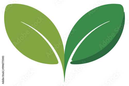 Eco friendly leaf symbol green nature botanical illustration
