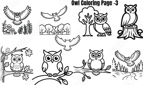 Owl in various poses and settings owls birds flying