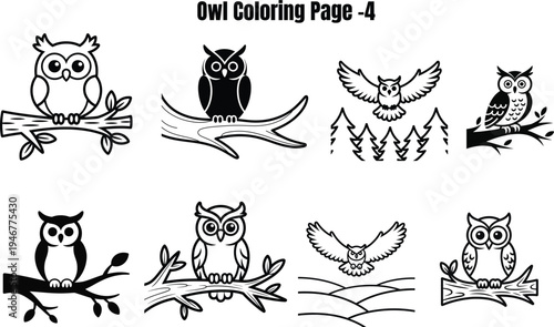 Owl on branches and in flight owls birds black and white