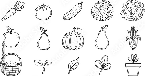 Collection of hand-drawn fruits, vegetables, and plants in a simple line art style