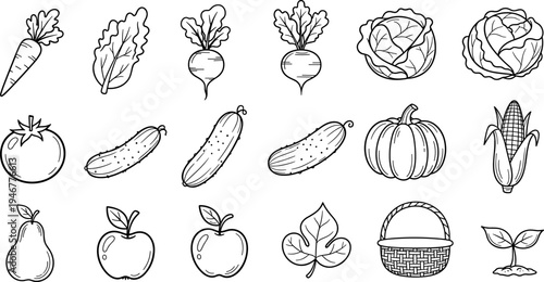 Collection of hand-drawn vegetables and fruits in a simple line art style