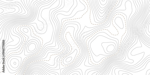 Topographic contour map on dark background. Vector grid map.Topographic map background concept. Topo contour map. Rendering abstract illustration.