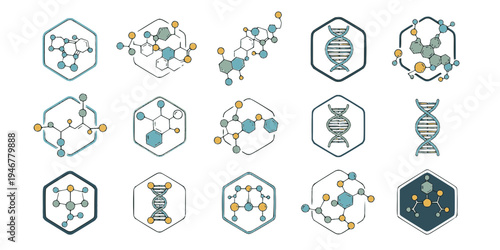 Set of molecule badge. Connected hexagonal molecule badge. Molecular structure. DNA connect diagram. Medical label or icons. Vector illustration. 
