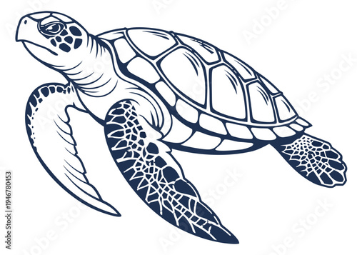 A detailed illustration of a sea turtle swimming gracefully in the ocean. isolated on transparent background, isolated on white background, Vector