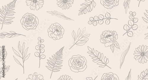 Botanical line drawings of flowers and leaves.