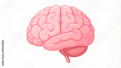 Stylized pink human brain illustration with detailed convolutions folds minimal decorative flat vector isolated on white background