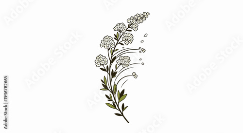 Delicate sprig of white blossoms and green leaves, with wispy lines