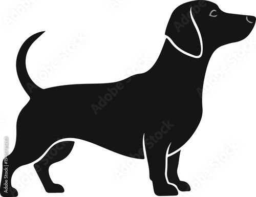 Silhouette of a black dog with short legs and long body, standing alert