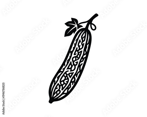 Bitter melon with decorative patterns on transparent background