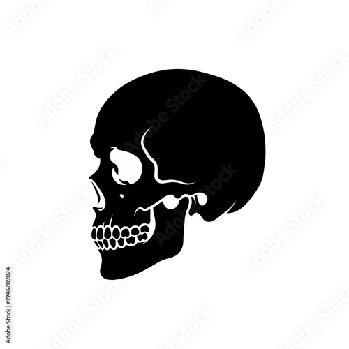 Black Skull Icon Graphic.
