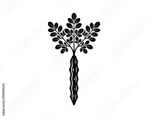 Moringa pod and leaves icon a healthy plant symbol isolated on transparent background