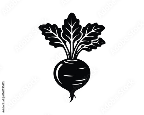 Beetroot with green leaves, fresh root vegetable graphic isolated on background