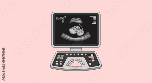 Medical Ultrasound Of A Fetus Displayed On A Screen With Light Pink Background