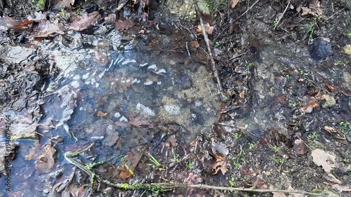 Small forest stream flowing over leaves and soil on woodland ground