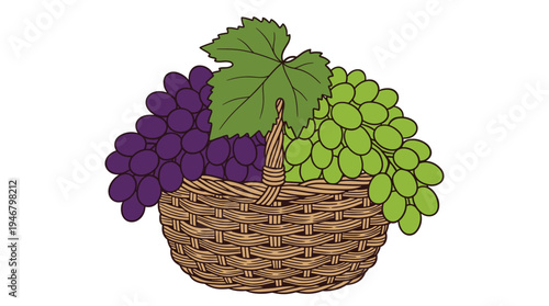 A wicker basket filled with fresh red and green grapes. This vector illustration symbolizes abundance, harvest, and healthy food. Perfect for wine or farm concepts.