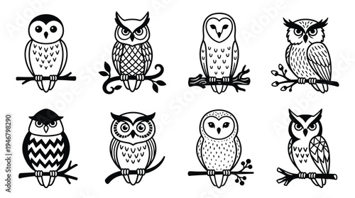 Eight diverse vector owl illustrations, featuring distinct designs perched on branches. Ideal for logos, icons, educational content, and nature-themed branding projects, offering a wise