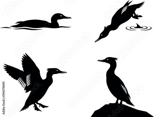 Set of Bird Silhouette Illustrations in Flight