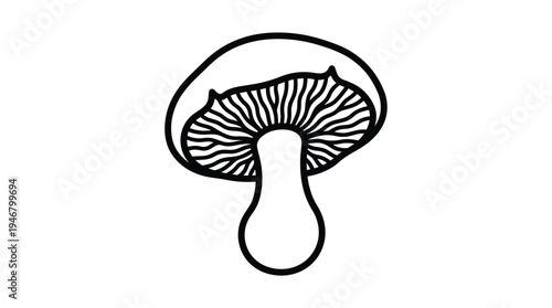 A simple, black line art illustration of a mushroom, showing its gills. This minimalist, organic icon is perfect for logos, branding, food packaging, and nature designs.