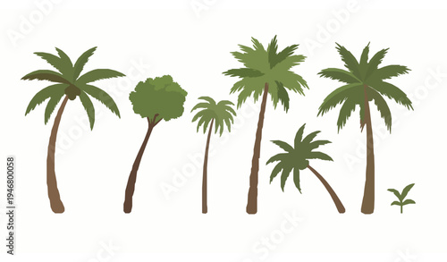Tropical Palm Tree Vector Set with Isolated Minimal Flat Design for Summer and Nature Illustrations