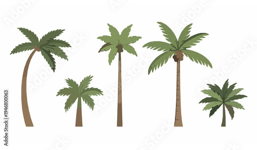 Tropical Palm Tree Vector Set with Isolated Minimal Flat Design for Summer and Nature Illustrations