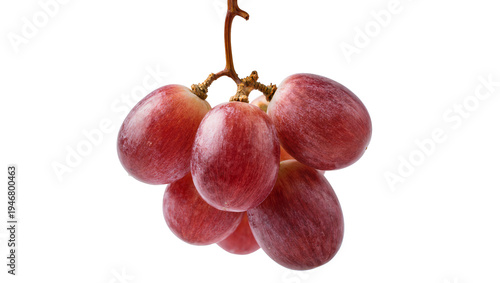 Photography Isolated delicious and juicy bunch of fresh red grapes hanging from a stem, swee