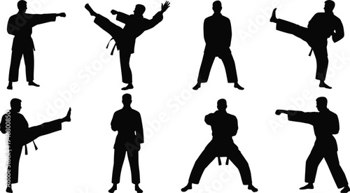 Set of karate martial arts fighter silhouettes performing kicks punches and fighting stances isolated on white background action combat training vector style collection