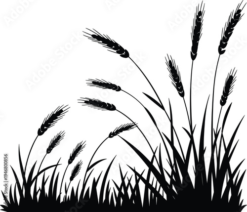 Black grass silhouette border with long wheat ears, outdoor nature field vector for landscape decoration