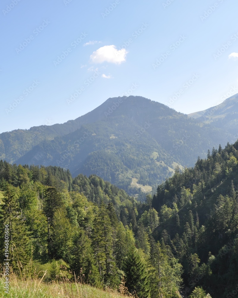 Obraz premium Mountain view in a green valley during a clear day in the mountains