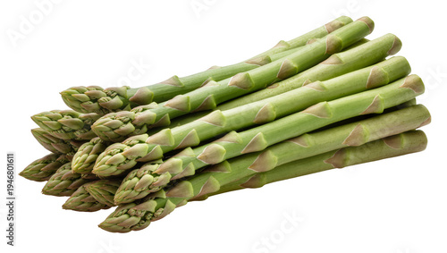Isolated fresh green asparagus spears bunch, delicious and healthy raw vegetable food ingredient