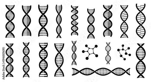 DNA Double Helix Structures and Molecular Models Collection