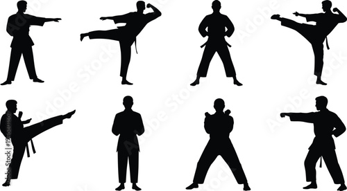 Set of martial arts karate and taekwondo fighter silhouettes showing kicking punching and fighting stances isolated on white background for combat sport training collection