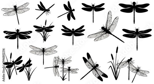 Dragonfly Silhouette Collection: Vector Graphics of Insects in Various Poses