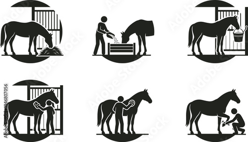 Professional Horse Care and Equestrian Icon Set Featuring Feeding Grooming Cleaning Hooves and Stables Management Silhouettes for Ranch and Farm Life