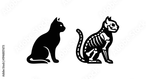 Black cat and skeleton cat.