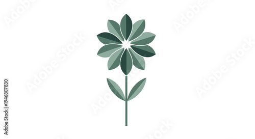 Green leafy plant with stem.