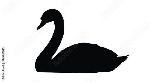 Elegant swan silhouette gracefully curves its neck in a peaceful pose