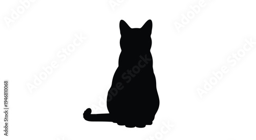 Silhouette of a cat sitting with its back to the viewer