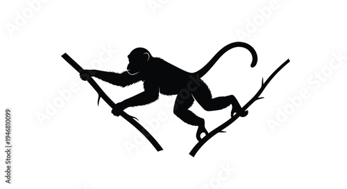 A black silhouette of a monkey walking on two branches