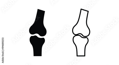 Black and white illustration depicting a human knee joint anatomy