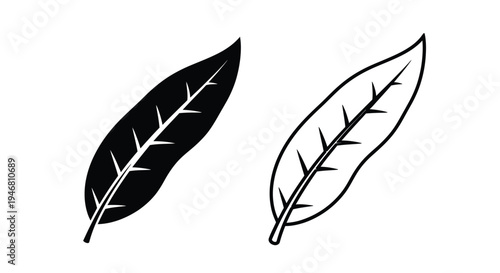 Two stylized leaf illustrations in black and white side by side