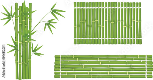 Collection of green bamboo plants leaves and fence designs