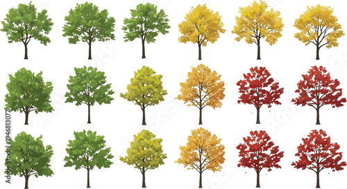 Collection of isolated deciduous trees displaying vibrant seasonal foliage including lush green bright yellow and deep red colors perfect for landscape design projects
