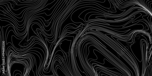 Abstract topographic lines pattern black and white background