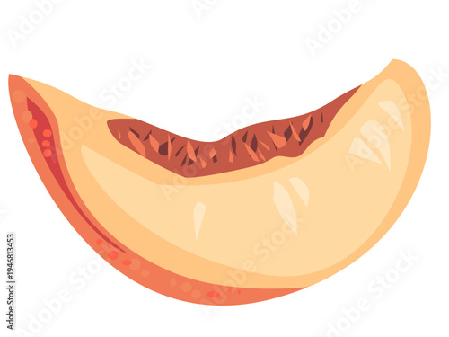 Peach slice vector illustration isolated on white background. Flat summer fruit clipart with juicy pulp for food packaging, menu design, dessert branding and healthy lifestyle graphics.