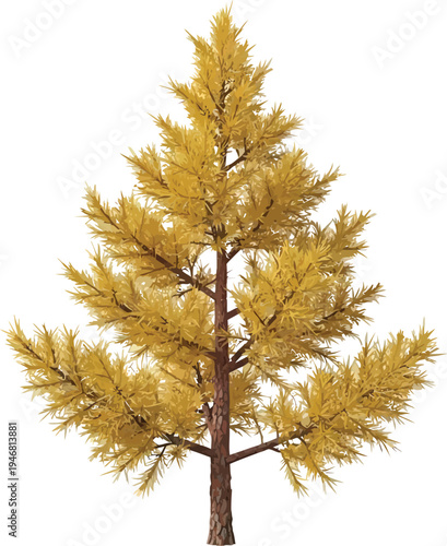 Isolated three dimensional rendering of a deciduous conifer tree displaying brilliant golden yellow foliage during its autumn seasonal change against a white background.